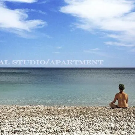 Colonial Family #4 Ground Floor Apartment *